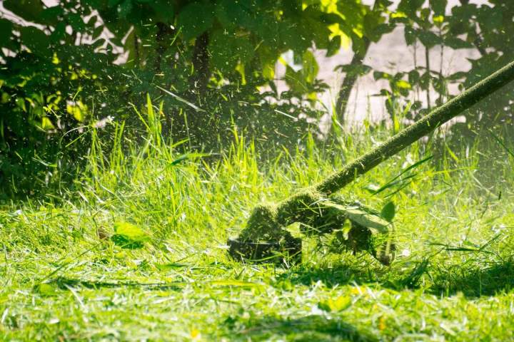 Entretien de jardins, Cournon