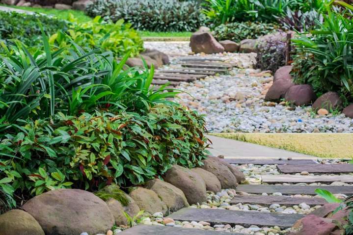 Entretien de jardin Vic-le-Comte